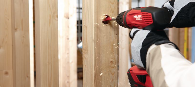 Broca de pala WDB-S Broca de pala para taladrar rápidamente orificios poco profundos en madera Aplicaciones 1